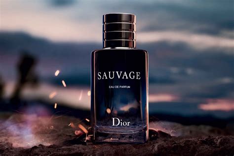 dior sausavge|dior sauvage best price.